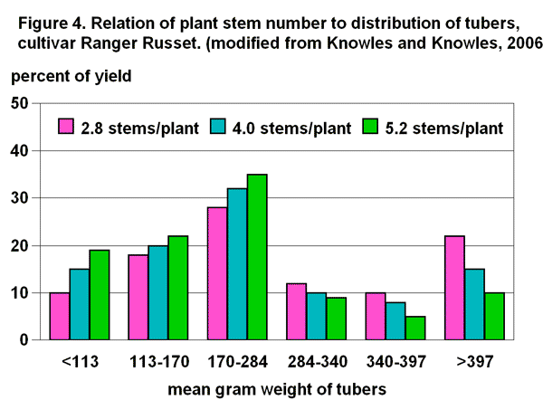 Relation of plant stem length, tuber distribution