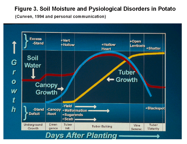 Soil moisture and physiological disorders
