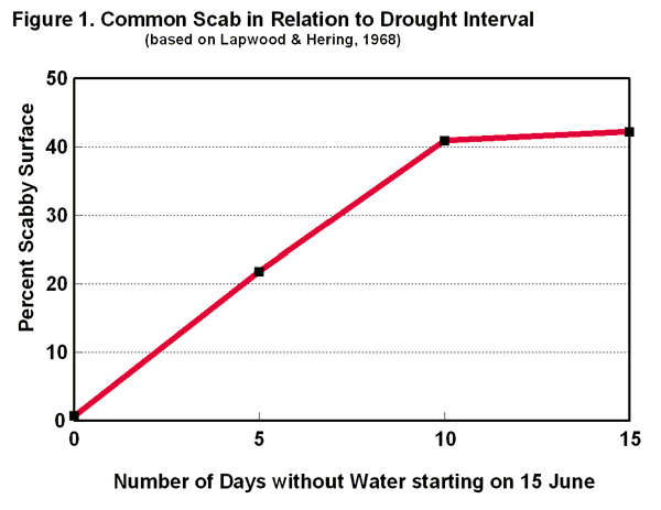 Scab related to drought interval