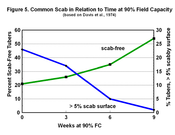 Scab in relation to time at 90 percent field capacity