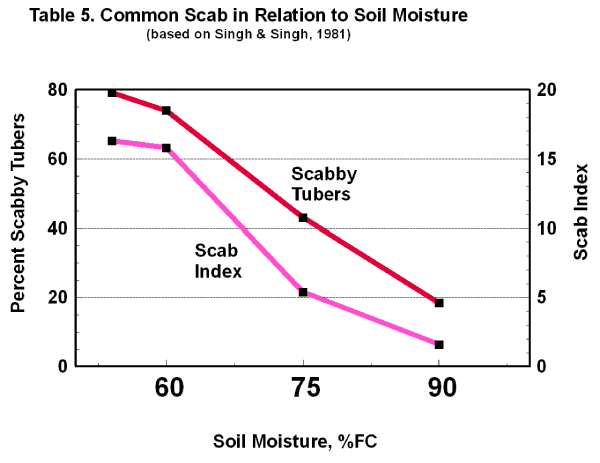Scab in relation to soil moisture