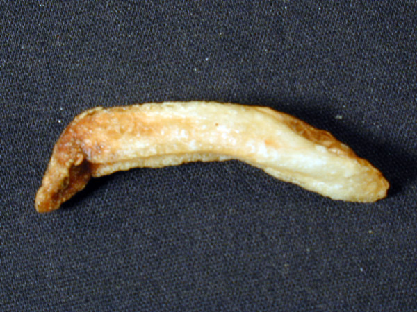 French fry with stem-end discoloration