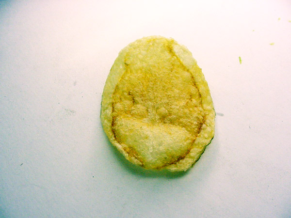 Potato chip with vascular discoloration