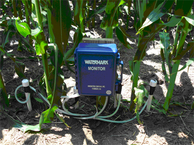 Water mark sensors in a corn field