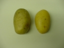 Can You Eat Green Potatoes?