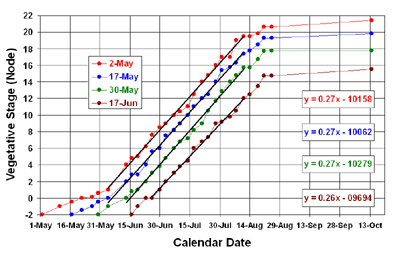 Graphic of growing plants versus planting dates