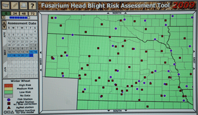 Risk of Fusarium blight