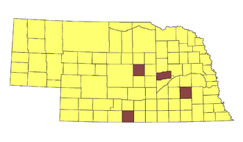 Nebraska map showing four counties where feral hogs have been found