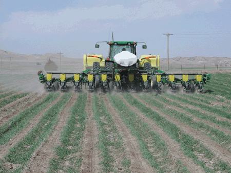 Photo of sugarbeet being planted into wheat residue.