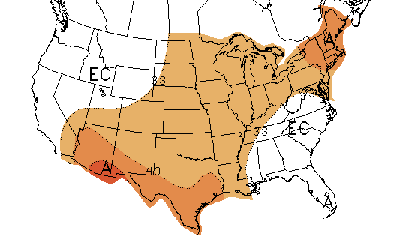 Graphic showing three month temperature outlook