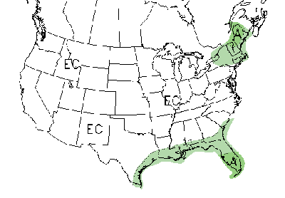 Graphic showing three month precipitation outlook