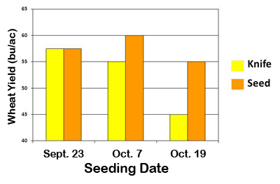 Figure 1. Graphic showing effect of seeding date on performance of seed and dual placement methods of P application at three locations.
