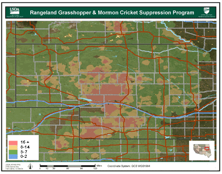 Map showing potential grasshopper threat predicted for Nebraska for 2008.