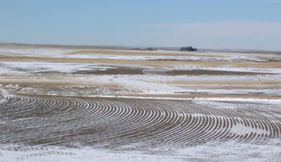 Photo of snow covered furrows