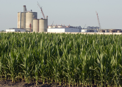 Photo of corn in the foreground with an ethanol plant in the background.