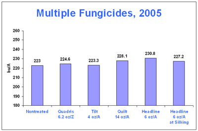 Photo of corn yield from fungicide treatments