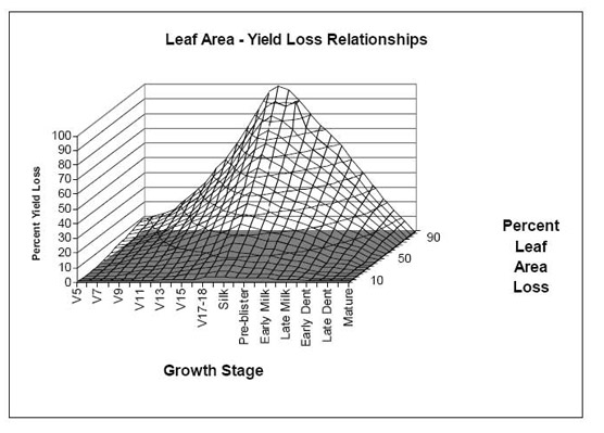 Graphic of relationship between yield loss and area loss