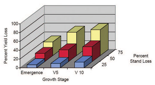 KSU figure showing yield loss from three levels of stand loss at three growth stages.