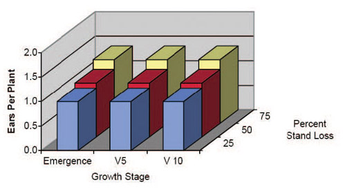 Figure showing ear number at three levels of stand loss at three growth stages.
