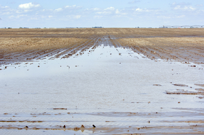 Photo of a flooded field