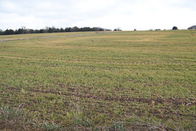 Photo of damaged fields