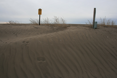 Sandy soil blown and rippled by high winds in Box Butte County. (Photo by Bill Booker)