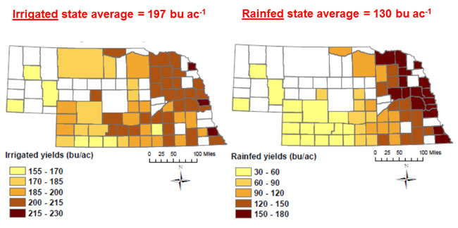 Nebraska map showing 2013 corn yields by county for irrigated and dryland