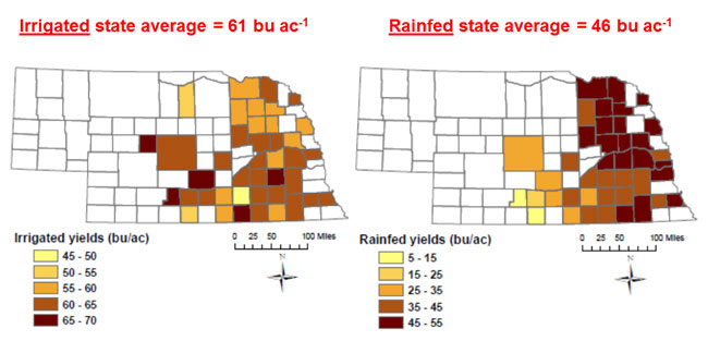 Nebraska map showing 2013 soybean yield by county