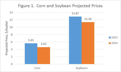 2014 Corn & Soybean Projected Prices