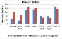 Rainfed corn yield comparison