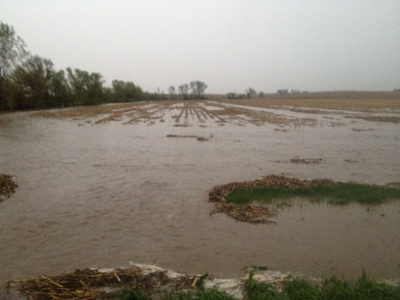 Flooded field in Saunders County