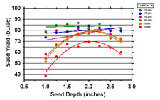 Soybean seeding depth yield chart