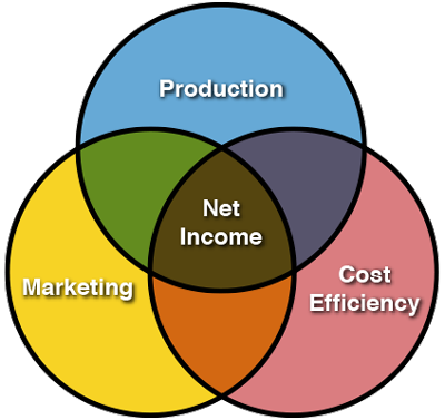 Graphic showing the 3 factors constituting net farm income: Production, marking and cost efficiency