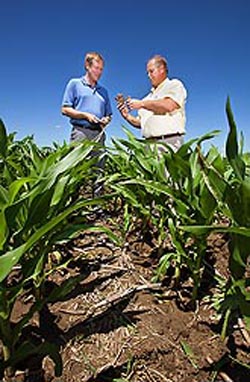 USDA ARS Soil Scientists Brian Wienhold (left) and Gary Varvel