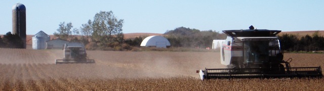 Combines harvesting soybeans photo by John Hay