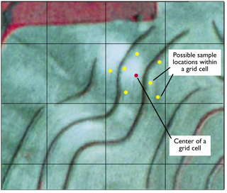 Field image of 2.5-acre grid sampling pattern