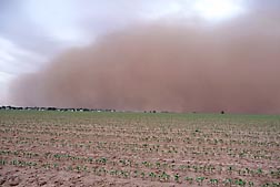 Dust storm in Texas