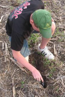 boys participating in crop residue activity