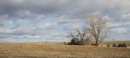 Nebraska field in winter 
