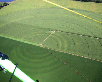 Photo of variable, concentric rings in center pivot irrigated fields