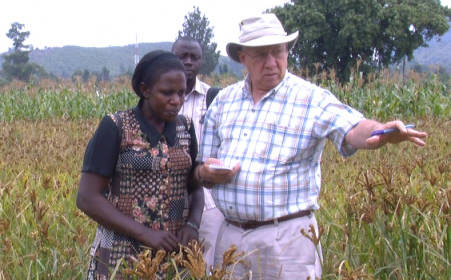  University of Nebraska-Lincoln agronomist Charles Wortmann works with producers in Uganda. 