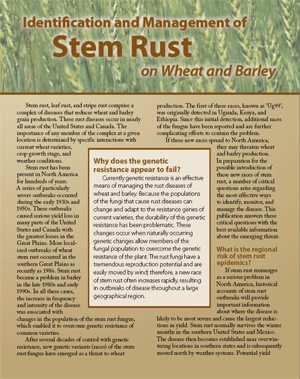 Cover of stem rust publication
