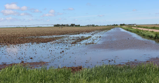 Flooded field in Adams County