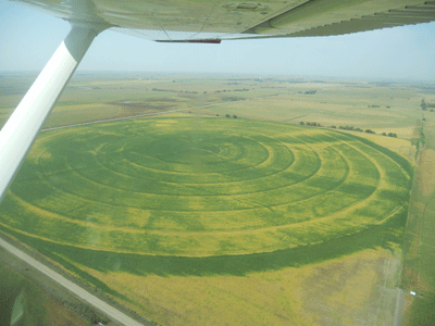 Irrigation rings showing inconsistent application