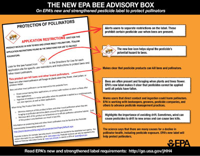 Bee Advisory graphic