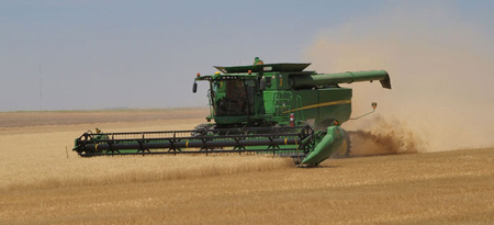 Wheat harvest in Cheyenne County