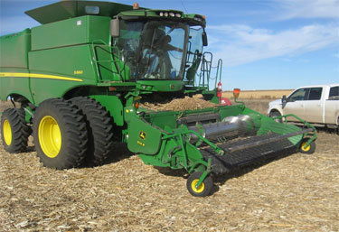 Combined harvesting downed corn
