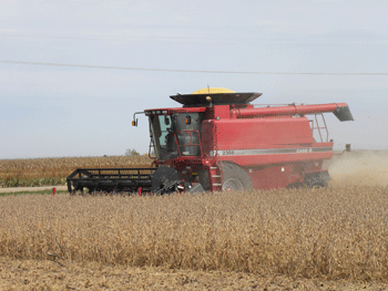 Soybean harvest, Gage County, September 2011