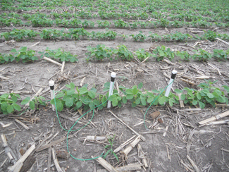 ET gages in soybean