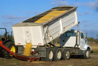 Photo - Grain truck & auger